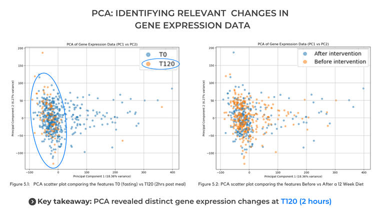 Obesity & Metabolism MSc thesis — PCA cluster analysis